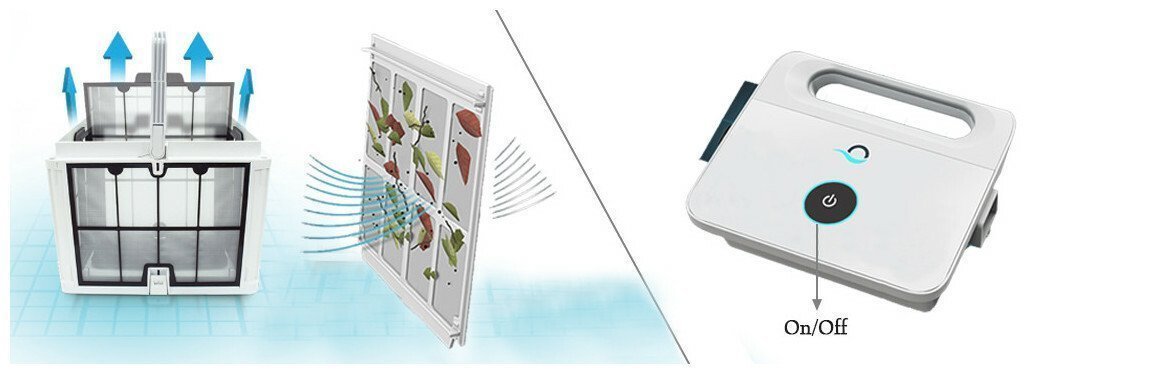 Robot piscine Dolphin T25 - Prix Fabricant – Image 2